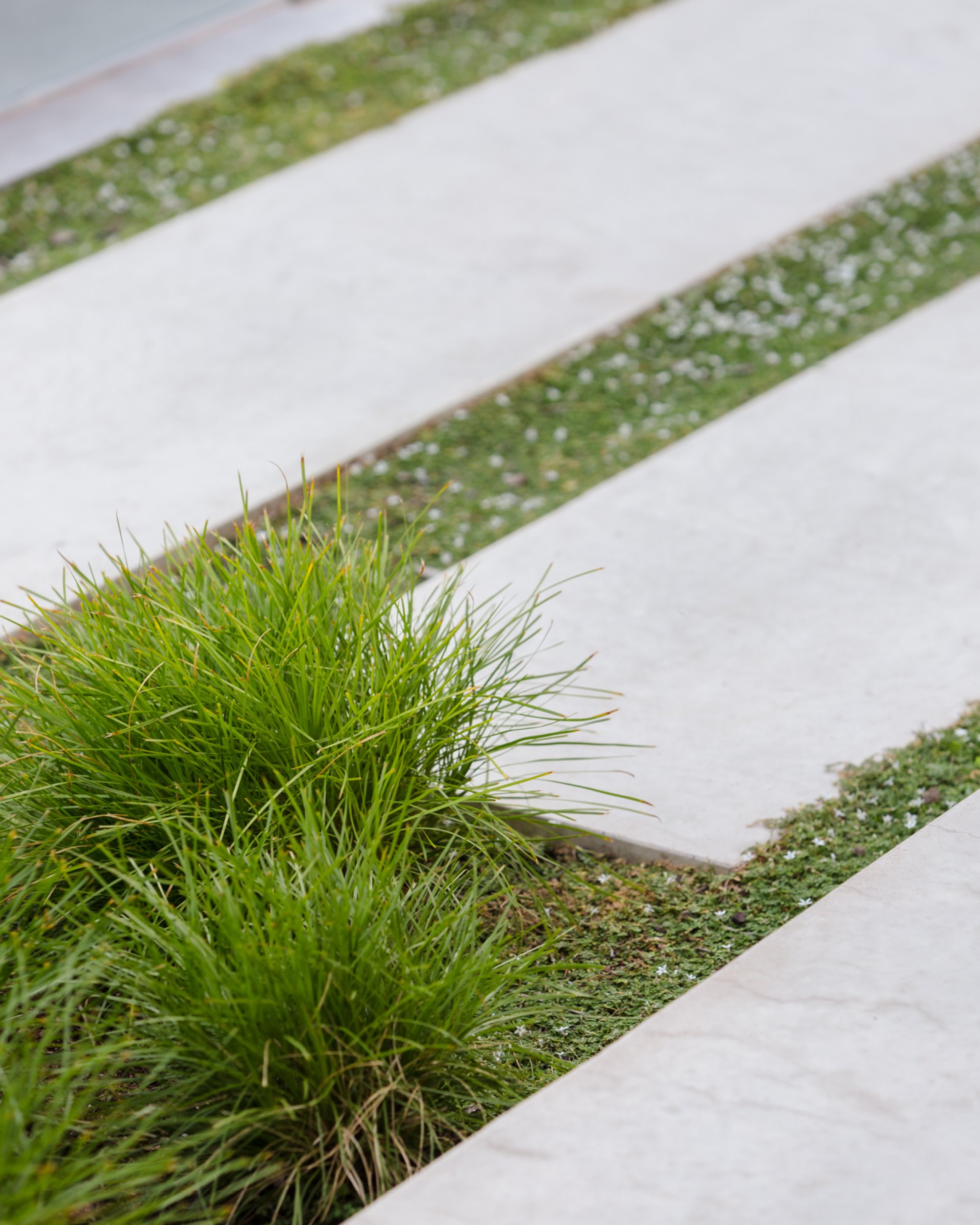 PŁYTA TARASOWA WĄSKA